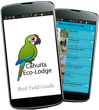 smartphone field guide jungle